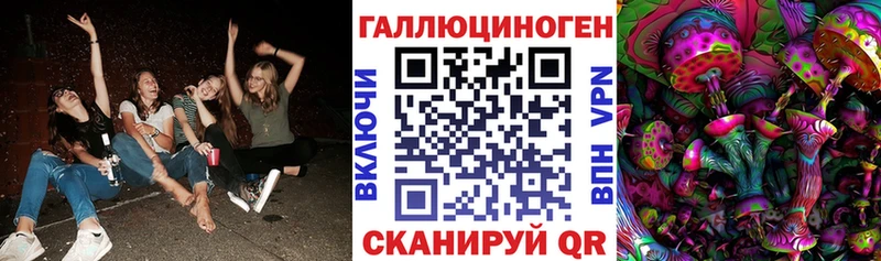 Галлюциногенные грибы Cubensis  Купить  Славянск-на-Кубани 